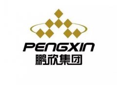 实施“投资+并购”、“财产+金融”双轮